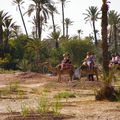 tour de chameau dans la bambouseraie