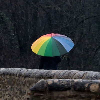 Vallée de l'Hérault (2)