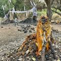 MARABOUT VOYANT MÉDIUM POUR LE RETOUR AFFECTIF ET LE DÉSENVOÛTEMENT RAPIDE/ VOYANT SIKILI MOUSSA