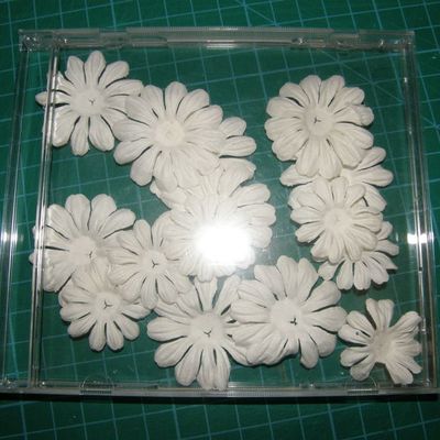 LES EMBELLISSEMENTS A 0.5€