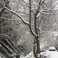 Balade hivernale dans Montréal