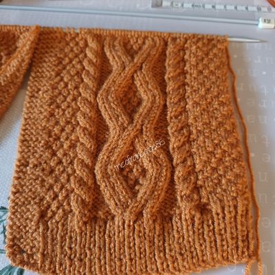 Mon en cours , gilet Kayden ...