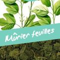 vente feuille de murier 4.60 €  les 100 g sur toobeautyfood