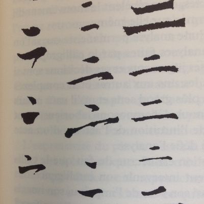 Le caractère : un être double