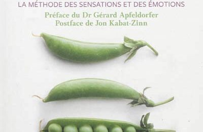 Lecture : le livre "Manger en pleine conscience" du Dr Jan Chozen Bays, éd. Broché