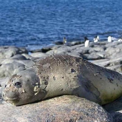 ils se la grattent douce...
