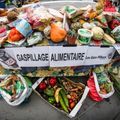 Gaspillage alimentaire