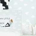 La little mum box