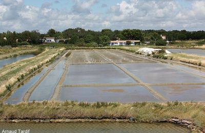 La réserve naturelle de Mullembourg