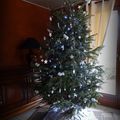 Mon sapin