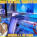 DIMANCHE SOIR LE DERNIER JOURNAL DE CLAIRE CHAZAL SUR TF1 : UN ENORME SUCCES