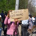 Belgique: Les étudiants camerounais manifestent à Bruxelles