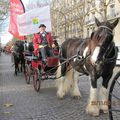 Défilé dans Paris - Salon du cheval 2012 -