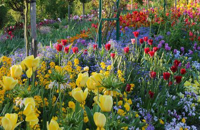 J25Covid/Giverny-l'impressionnisme en Normandie