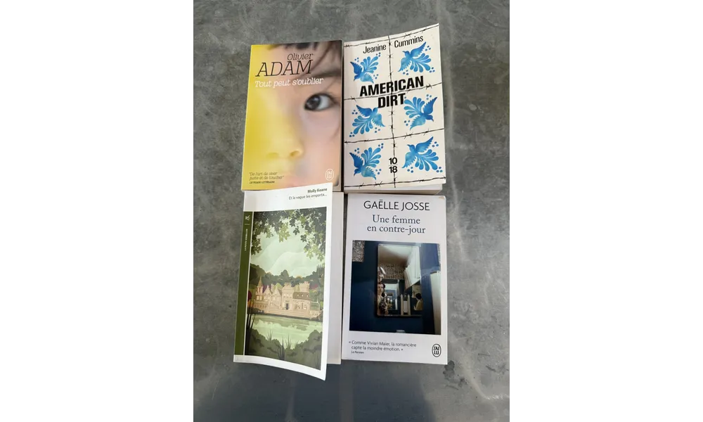 Livres 2025 (3)