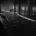 Le Vampire noir (El vampiro negro) (1953) de Román Viñoly Barreto