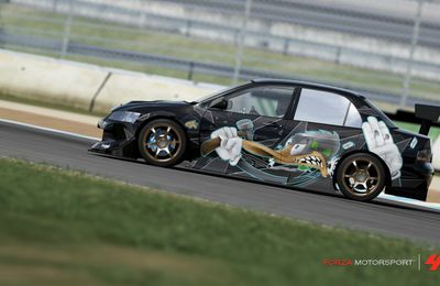 Mitsubishi Evolution HKS "Duck Wooden Beak"