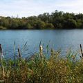 Le Lac de MIMIZAN (40) et sa promenade fleurie (suite)...