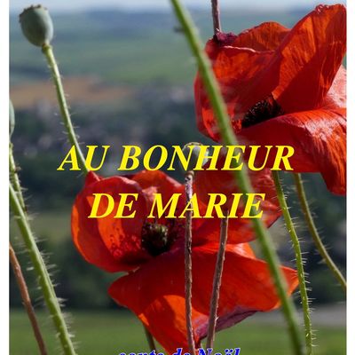 LUMINEUSE FIN D'ANNÉE 2023 AVEC "AU BONHEUR DE MARIE"