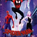 "Spider-Man : New Generation" de Bob Persichetti, Peter Ramsey et Rodney Rothman : American Beauty