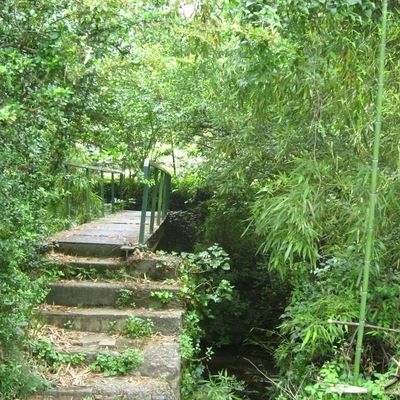 MAUREILLAS et ses Villages aux Alentours 