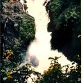 Sud-Cameroun 1992 projet de barrage chez les Fang en forêt dense