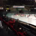 Entrainement des BOXERS de Bordeaux