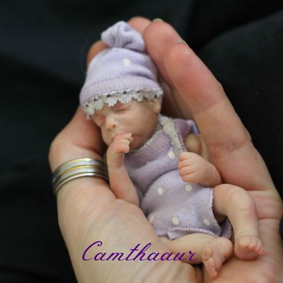 Violet bébé miniature disponible
