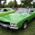 Plymouth Satellite hardtop coupe-1973 à 1974