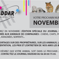 Journal raddar de novembre 2013
