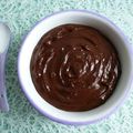 crème dessert chocolat caramel chicorée hyperprotéinée sans gluten à 100kcal (diététique, sans beurre ni oeuf, riche en fibres) 