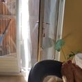 Bouillon d'écriture et fleurs estivales
