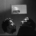 L'Invasion des Profanateurs de Sépulture (Invasion of the Body Snatchers) (1956) de Don Siegel