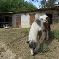 Rendez-vous à la ferme