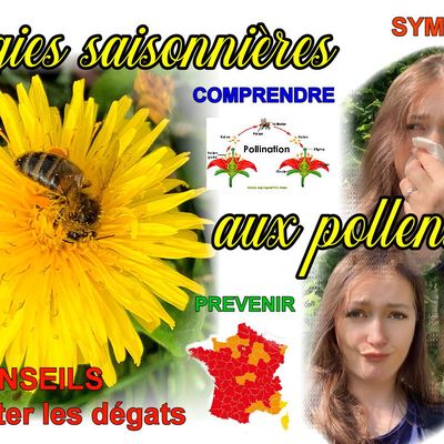 Allergies saisonnières de printemps (pollens),  comment survivre ( sans médicaments ) ?