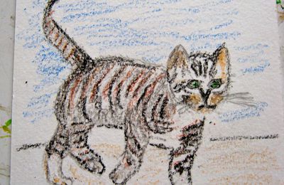 - PASTELS A L'HUILE - Chat et marmotte -