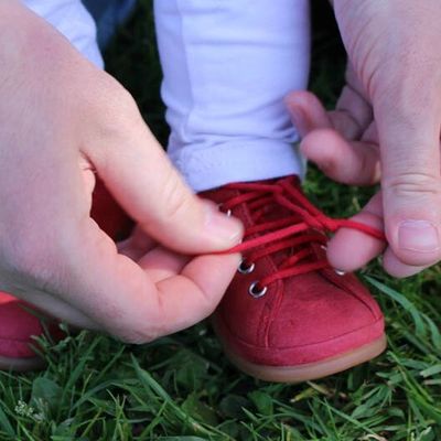 D'une forêt magique à l'autre ...