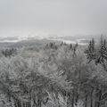 17 janvier : sans doute la plus belle journée...