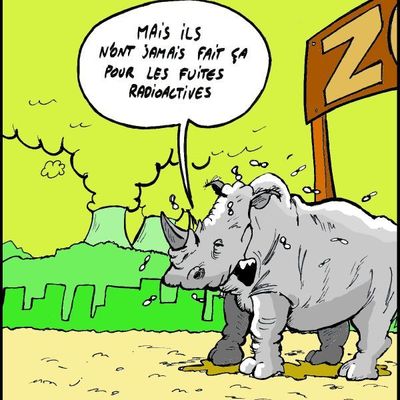 Dans la série 'le monde est bête'