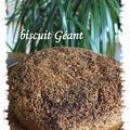 BISCUIT GEANT NOIX DE COCO CHOCOLAT