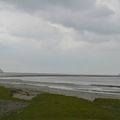 Sur l'herbu du Mont Saint Michel, au milieu des moutons