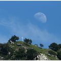 Saint Loup...