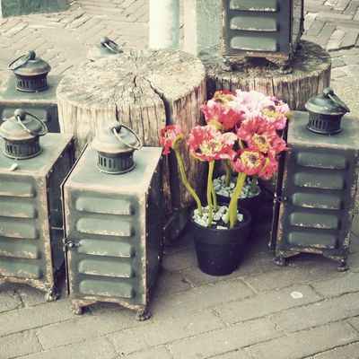 City guide :: HAARLEM (The Netherlands)