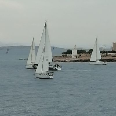 PROJET 52 # Bien joué