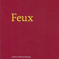 Feux, un livre de Perrine Le Querrec (éd. Bruno Doucey)