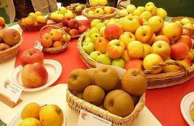 36ème journées de la pomme de pays et des fruits locaux