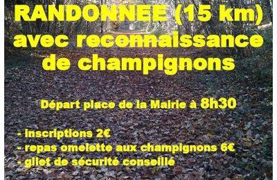 Rdv pour les amateurs de randonnée ET de champignons ...