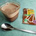 yaourts-flans maison diététiques au bio-flan chocolat et à la stévia (sans sucre ni lait en poudre)