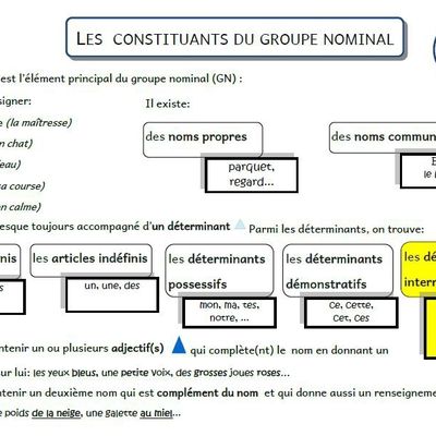 Contribution - Grammaire Picot CM1-CM2