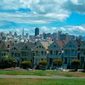 Painted Ladies